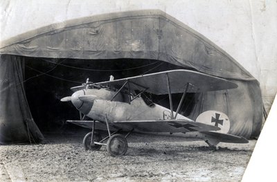 Albatros DV tedesco, Souilly, Francia, 2 gennaio 1918 da Unbekannt