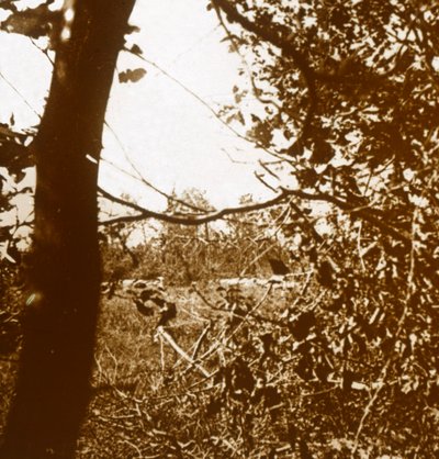 Trincee tedesche, c1914-c1918 da Unbekannt