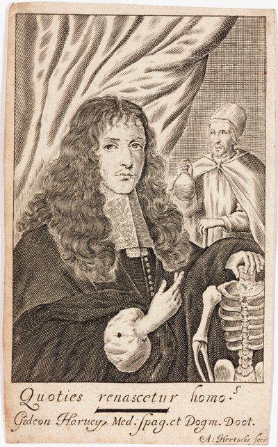 Gideon Harvey, medico inglese da Unbekannt