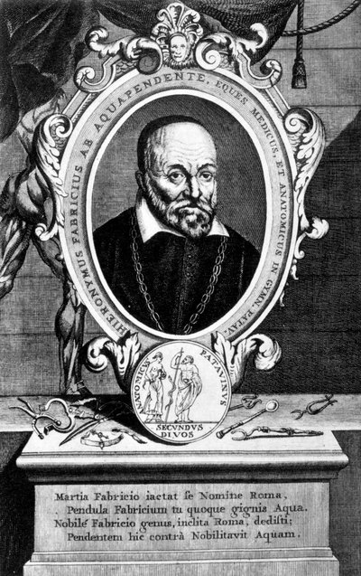 Girolamo Fabrici, anatomista e chirurgo italiano da Unbekannt