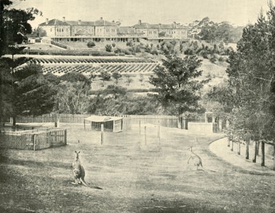 Manicomio di Gladesville, Nuovo Galles del Sud da Unbekannt