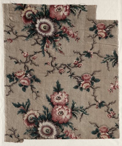 Frammento di chintz smaltato, c. 1840 da Unbekannt