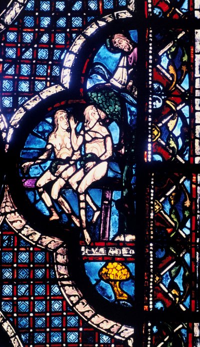 Dio confronta Adamo ed Eva, vetrata, Cattedrale di Chartres, Francia, 1205-1215 da Unbekannt