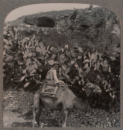 Golgota Il luogo del cranio, c1900 da Unbekannt