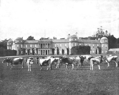 Goodwood, Hampshire, 1894 da Unbekannt