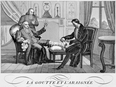 Gotta e il Ragno, c1835 da Unbekannt