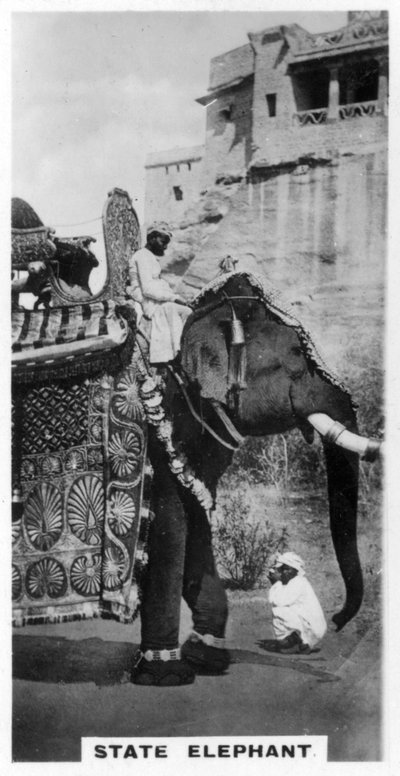 Elefante governativo in costume di stato, India del Sud, c1925 da Unbekannt