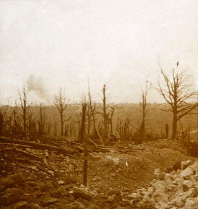 Tombe e bombardamenti, Fleury, Francia, c1914-c1918 da Unbekannt