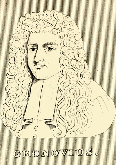 Gronovius da Unbekannt