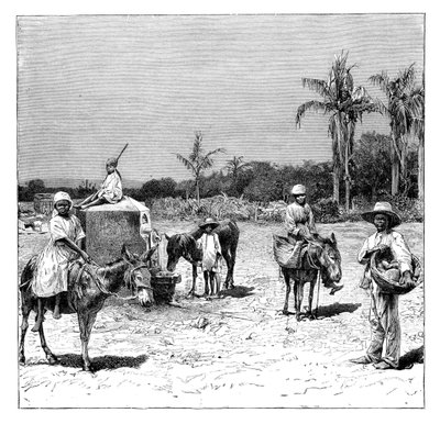 Gruppo di haitiani, c1890 da Unbekannt