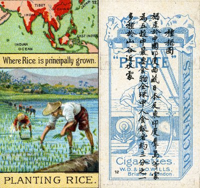 Coltivazione e piantagione del riso, dalla serie di carte da sigaretta 