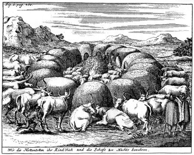 Guardare pecore e bovini di notte, Sudafrica, XVIII secolo, 1931 da Unbekannt