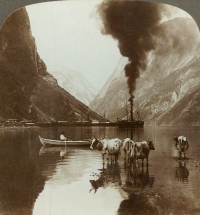 Vista di Gudvangen sul Naerofjord dove il mare si insinua tra le montagne, Norvegia da Unbekannt