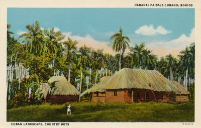 Habana: Paesaggio Cubano, Bohios, c1910 da Unbekannt