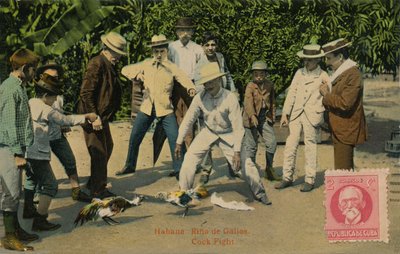 Habana: Rina de Gallos. Combattimento di galli, 1918 da Unbekannt