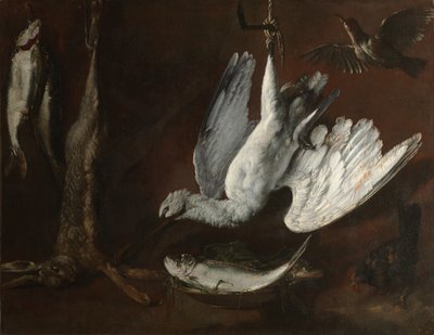 Lepre, Spatola e Pesce, metà del 1600 da Unbekannt
