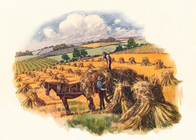 Raccolta a Tolpuddle, 1824 da Unbekannt