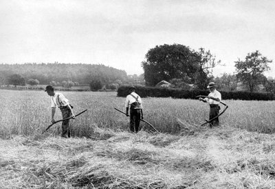 Raccolta del Fieno da Unbekannt