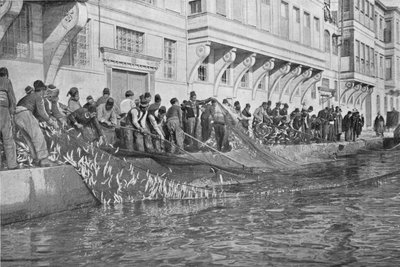 Tirando su un Grippo di 15000 pesci a Emirgian sul Bosforo, c1901, 1903 da Unbekannt