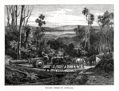 Trasporto di legname, Australia da Unbekannt