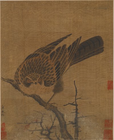 Falco su un ramo spoglio, Possibilmente dinastia Yuan da Unbekannt