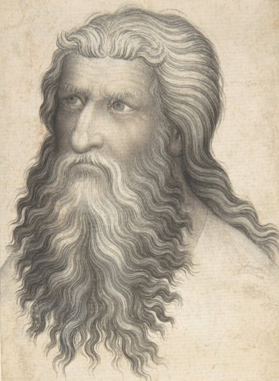 Testa di un uomo barbuto, 1360-80 da Unbekannt
