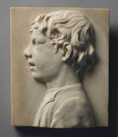 Testa di un ragazzo, c. 1460 da Unbekannt