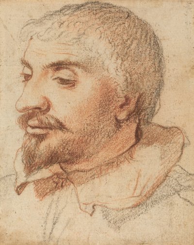 Testa di un uomo, c. 1600 da Unbekannt