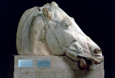 Testa di cavallo dal carro di Selene dal frontone est del Partenone da Unbekannt