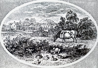 Testata di Thomas Bewick da Unbekannt