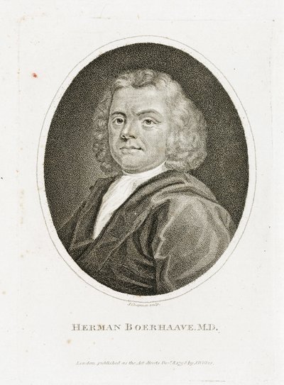 Herman Boerhaave, medico, chimico e botanico olandese, inizio XVIII secolo da Unbekannt