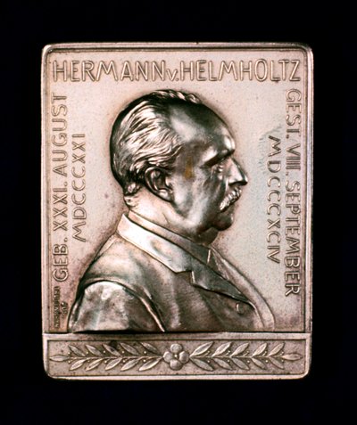 Hermann Ludwig Ferdinand von Helmholtz, c1900 da Unbekannt