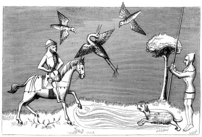Falconeria dell
