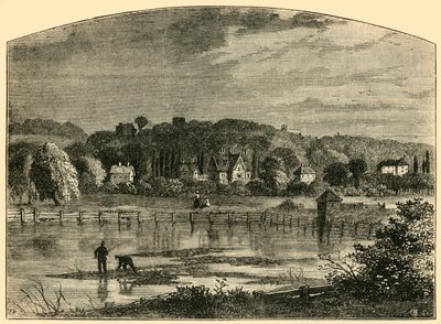 Highgate Ponds, c1876 da Unbekannt