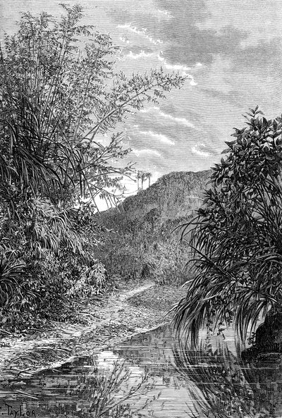 Paesaggio montano, Formosa, c1890 da Unbekannt
