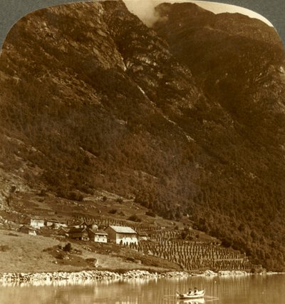 Fattoria Hogrending, annidata alla base delle montagne, sulla riva E. del Lago Loen, Norvegia, c1905 da Unbekannt