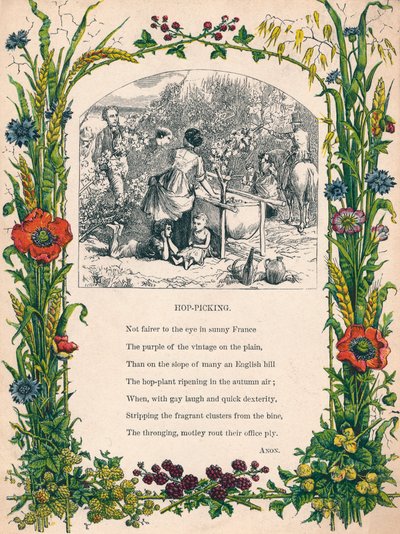 Raccolta del luppolo, c1900 da Unbekannt