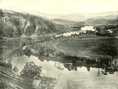 Giardini di luppolo in Tasmania, 1901 da Unbekannt