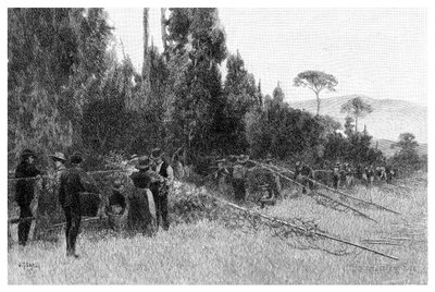 Raccolta del luppolo vicino a Bairnsdale, Australia, 1886 da Unbekannt