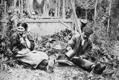 Raccoglitori di luppolo, campi di luppolo del Kent, c1922 da Unbekannt