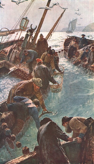 Come abbiamo catturato le sardine, 1895, c1902 da Unbekannt