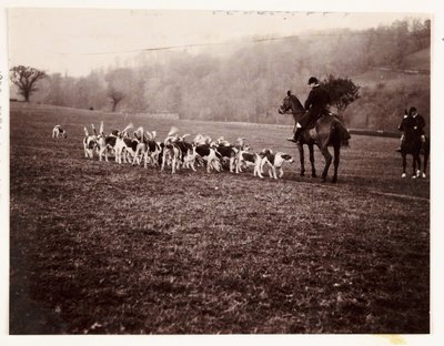 Cacciatore e cani, circa 1905 da Unbekannt