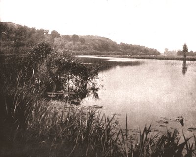 Hurley Reach, fiume Tamigi tra Bisham e Medmenham, Buckinghamshire, 1894 da Unbekannt
