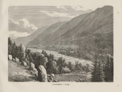 Illustrazione tratta dal libro Nordiska taflor di autore sconosciuto e pubblicato da Albert Bonnier da Unbekannt