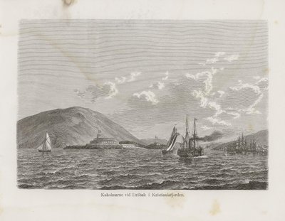 Illustrazione tratta dal libro Nordiska taflor di autore sconosciuto e pubblicato da Albert Bonnier da Unbekannt