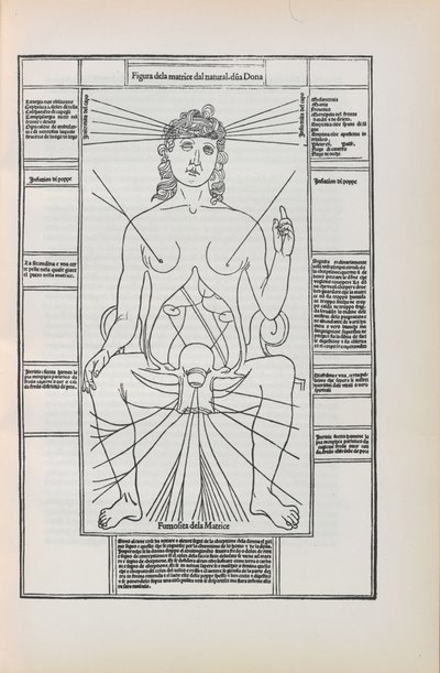Illustrazione da Fasciculo di medicina di Johannes de Ketham da Unbekannt