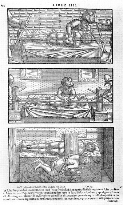 Illustrazione dal Liber canonis de medicinis cordialibus di Avicenna, 1556 da Unbekannt