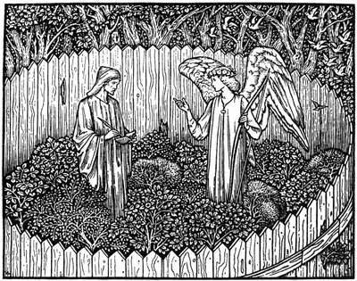 Illustrazione dall