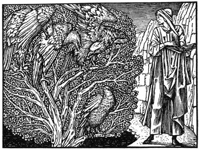 Illustrazione dall