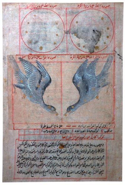 Illustrazione delle Costellazioni dell